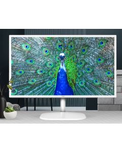 AOC 31.5' IPS Panel 2K QHD Monitor