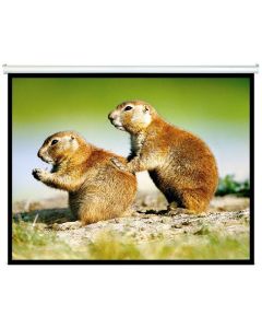 Brateck Manual Projector Screen 2.0x1.5m