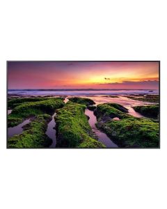 Samsung 55' QBB Professional Business Display